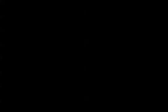 Conducteur fou un jour de marché