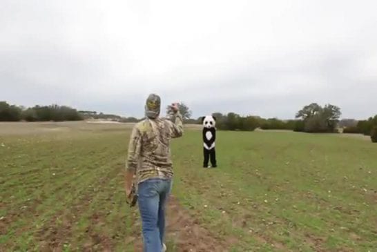 Coups impressionnants avec un arc à flèches