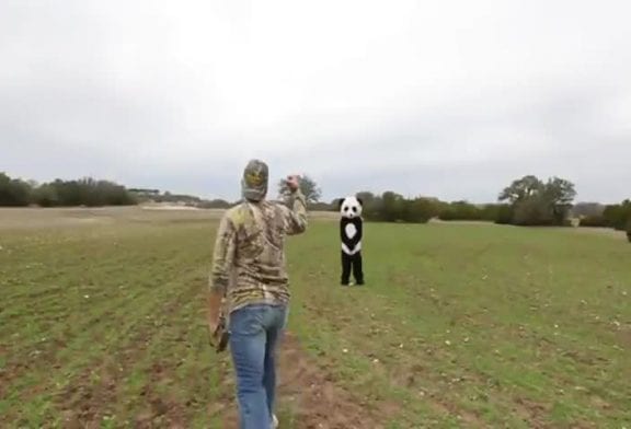 Coups impressionnants avec un arc à flèches