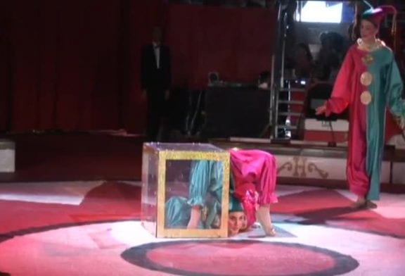 Incroyable contorsionniste