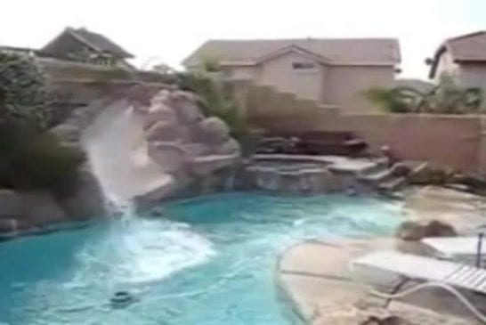 Chiens s’amuse avec le toboggan de la piscine