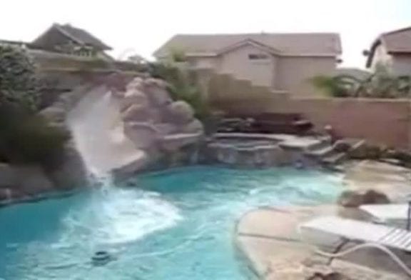 Chiens s’amuse avec le toboggan de la piscine