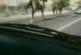 Cheval joue à saute mouton avec une voiture