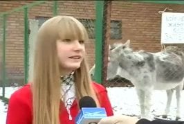 Âne fait un pet à l’arrière plan