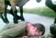 Soldat suisse est attaqué par deux chèvres folles