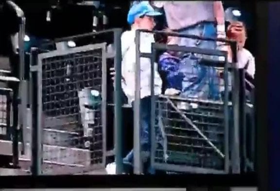 Enfant qui danse durant un match de baseball