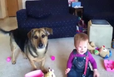 Bébé et chien aiment les bubulles