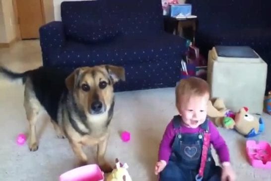 Bébé et chien aiment les bubulles