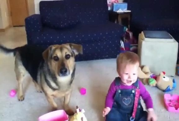 Bébé et chien aiment les bubulles