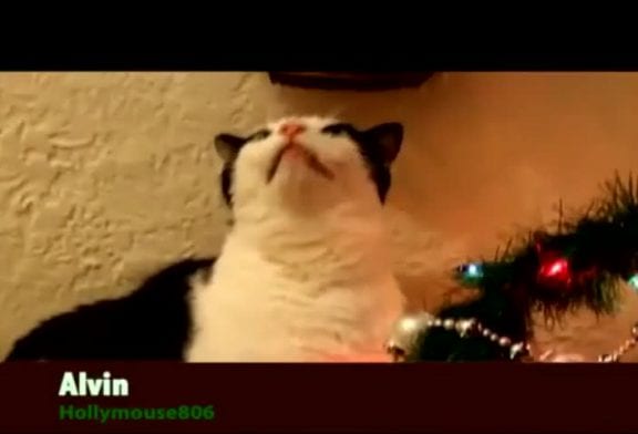 Animaux chantent Jingle Bells