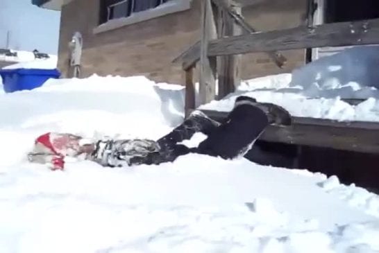Plonger dans la neige Fail