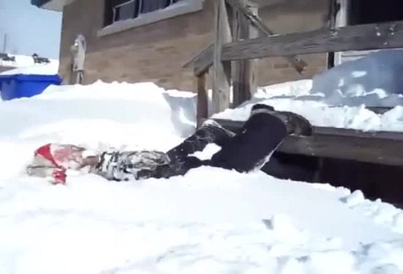 Plonger dans la neige Fail