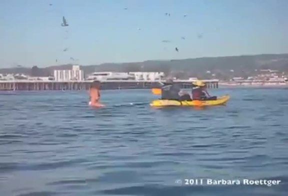 Presque avalé par la baleine