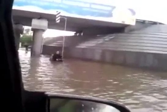 Chien aide son maître en fauteuil roulant