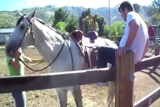 Comment ne pas monter à cheval