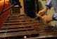 Jouer du xylophone en accéléré
