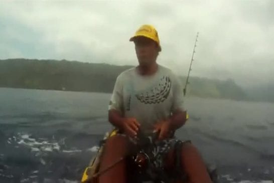 Requin effraie un pêcheur