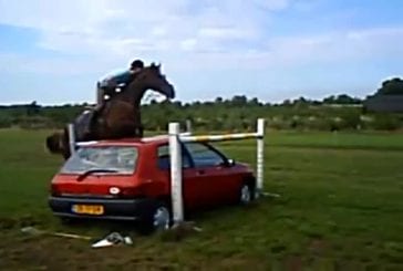 Cheval saute au dessus d’une voiture