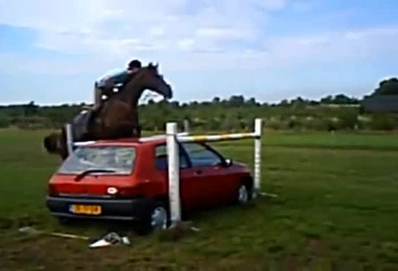 Cheval saute au dessus d’une voiture