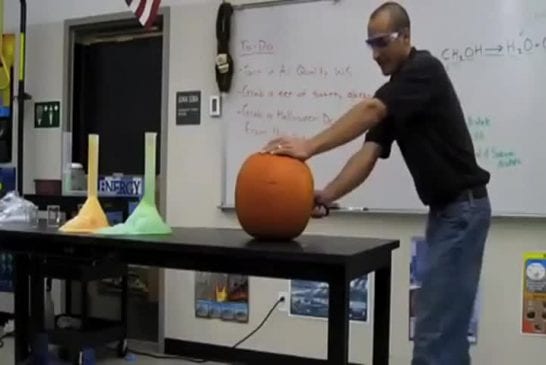 Professeur de sciences sculpte une citrouille