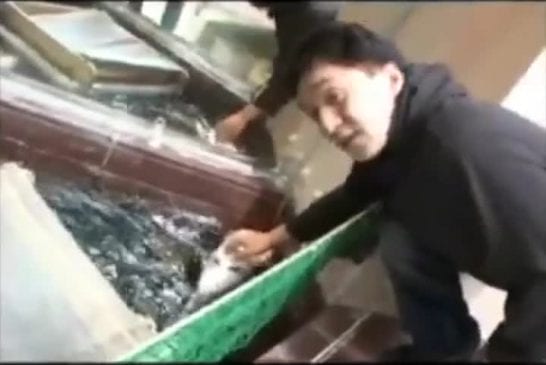 Jackie chan entraine un poisson de combat