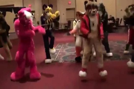 Furries danse la chorégraphie de Thriller