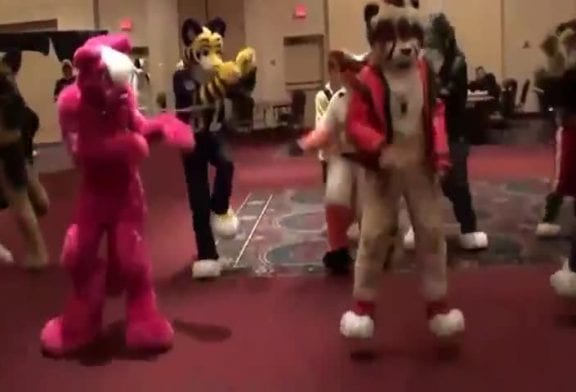 Furries danse la chorégraphie de Thriller