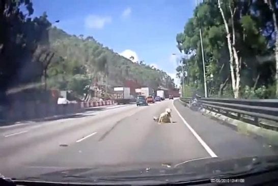 Scooter passed dans l’angle mort de cette voiture