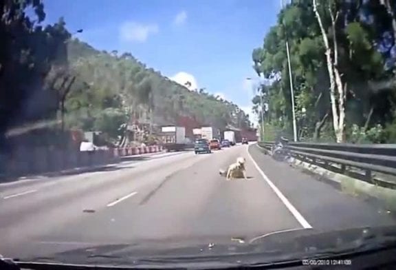 Scooter passed dans l’angle mort de cette voiture