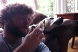 Chien chante le blues avec son maître