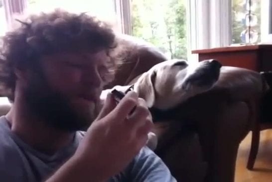 Chien chante le blues avec son maître