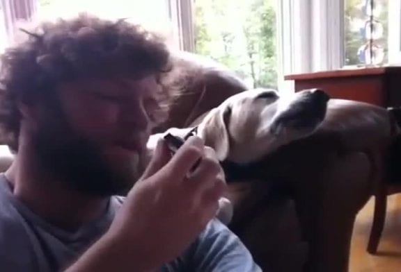 Chien chante le blues avec son maître