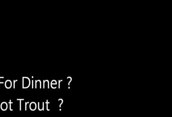 Vieil homme attrape une truite à mains nues