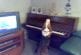Chien chante et joue du piano
