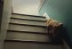 Mon chien monte les escaliers