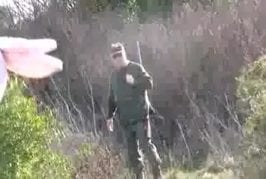 Animal par rémi gaillard