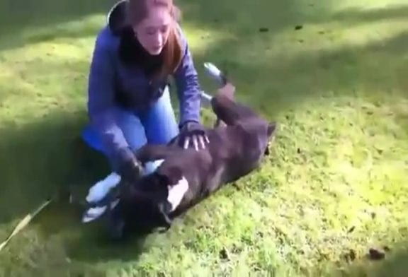 Homme sauve miraculeusement un chien qui s’étouffe