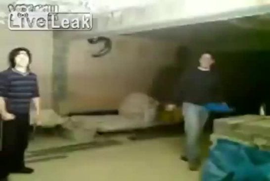 La puissance du coup de poing