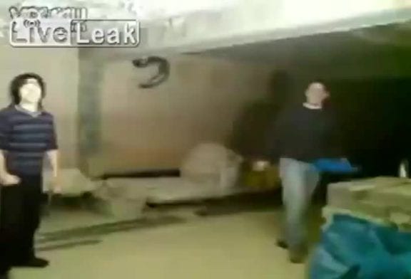 La puissance du coup de poing