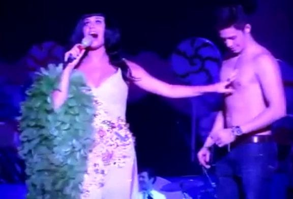 Katy Perry embrasse encore un fan lors d’un concert