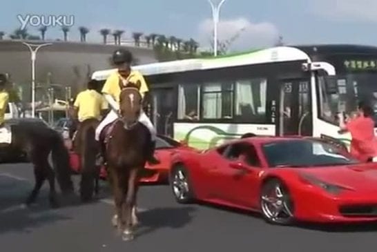 Le cheval qui n’aimait pas les Ferrari