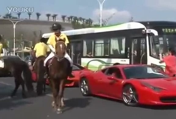 Le cheval qui n’aimait pas les Ferrari