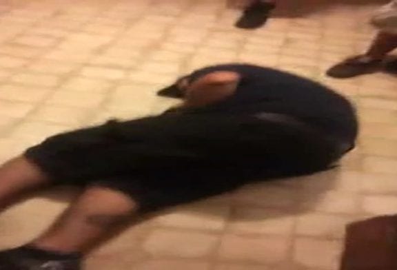 Régis pisse sur une raquette électrique anti moustiques