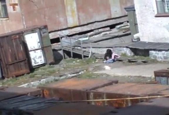 Un ours polaire attaque une femme