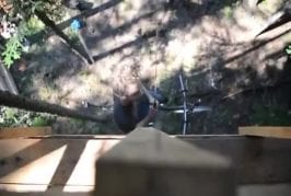 Le premier vélo-ascenseur permettant de grimper dans les arbres