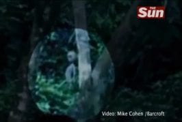Vidéo des extraterrestres vus au Brésil
