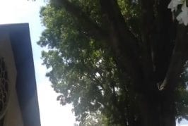 Dimanche impérial
