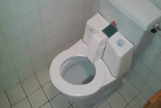 Toilette auto-nettoyante