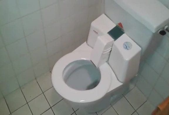 Toilette auto-nettoyante