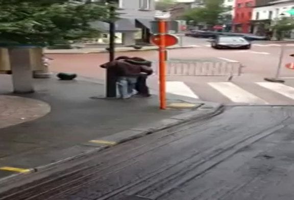 Complètement bourrés